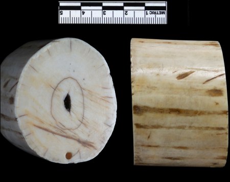 elephant_tusk_section