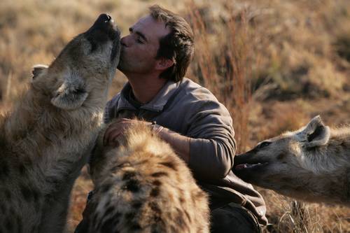 Kevin Richardson kisses hyena. Image by Kevin Richardson, 2007
