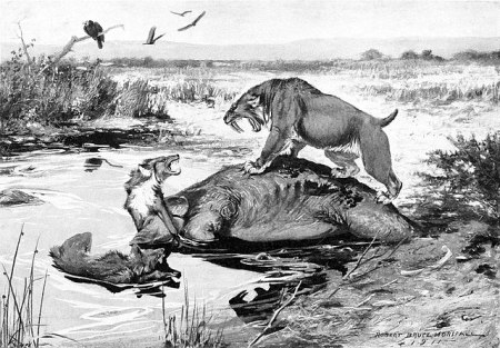 Smilodon californicus and Canis dirus fight over a Mammuthus columbi carcass in the La Brea Tar Pits. By Robert Bruce Horsfall, 1913