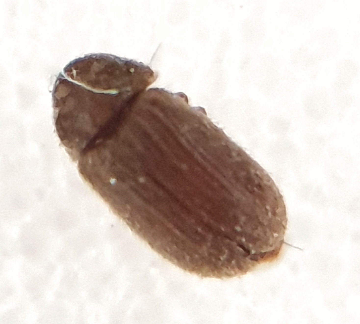 20191004_074528.jpg