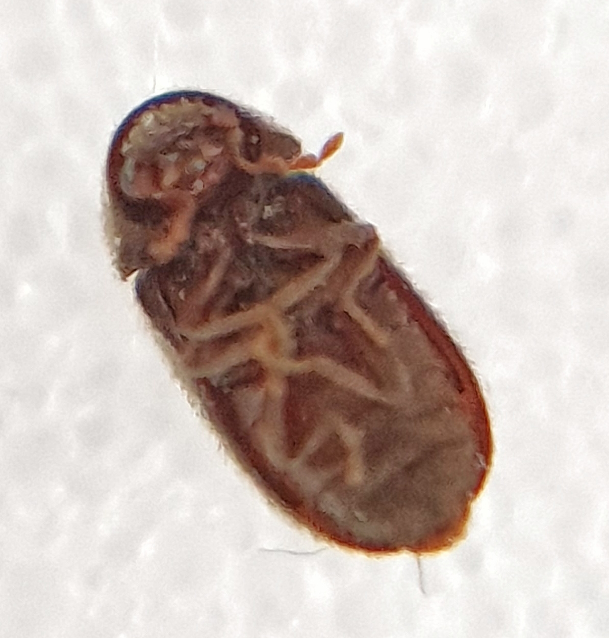 20191004_074640.jpg